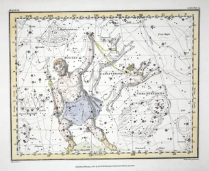 Les constellations (Planche VII) Bootes et Mons Maenalus, Asterion et Chara ou Canes Venatici, Coma Berenices, de 
